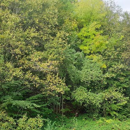 Apartament Garsoniera Ioana Sinaia Zewnętrze zdjęcie